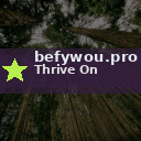 befywou.pro